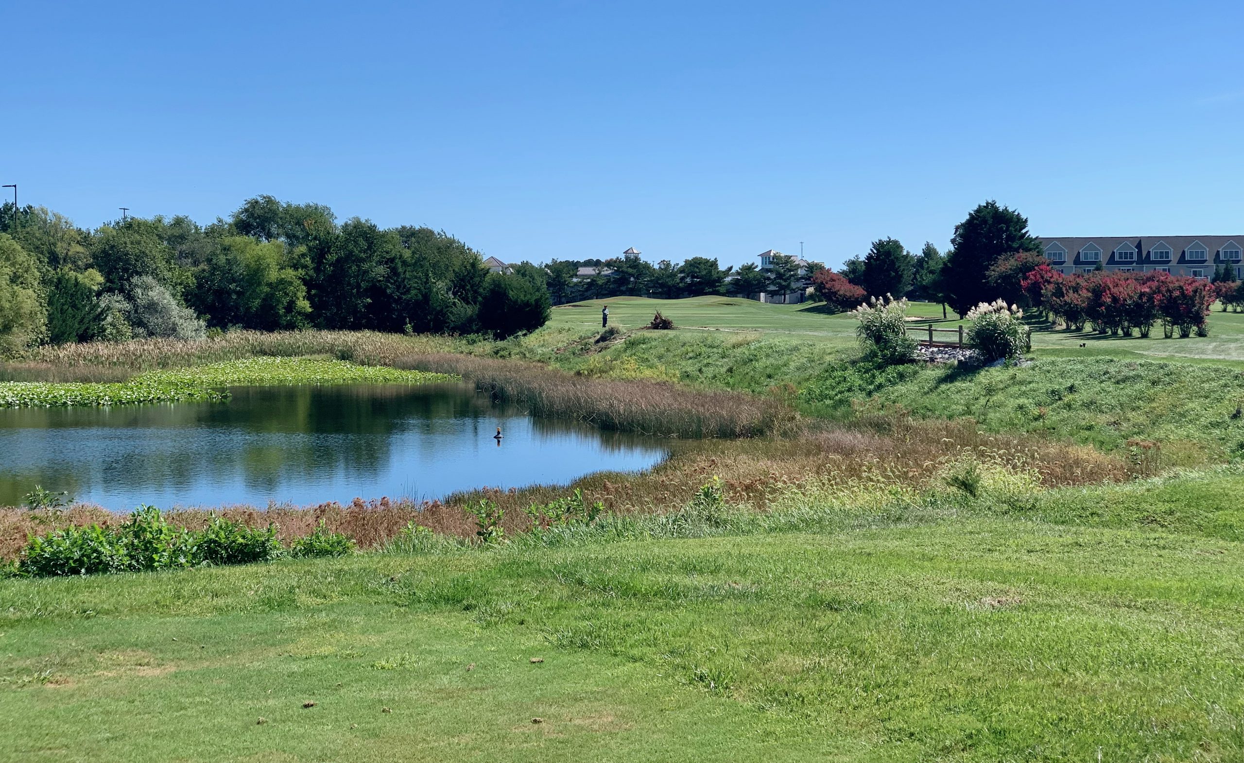 American Classic Golf Club Lewes, DE Always Time for 9