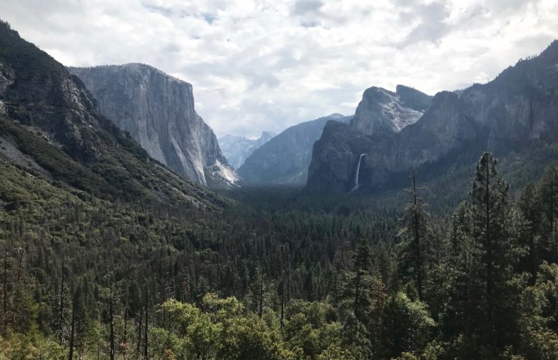 Big Trees Golf Course Yosemite National Park, CA Always Time for 9