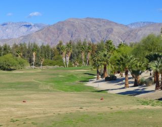 borrego
