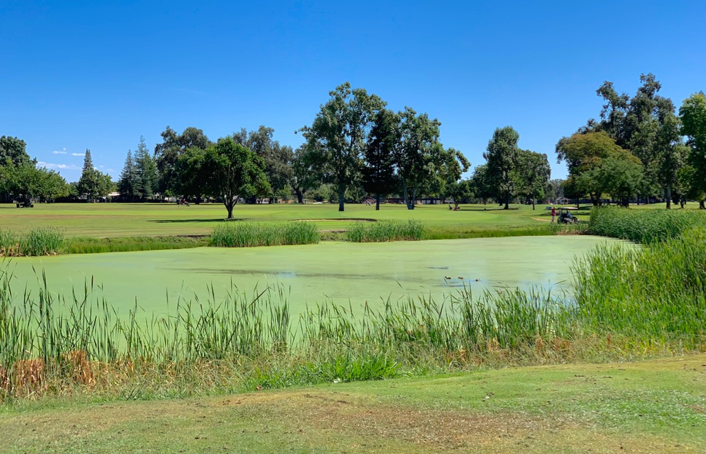 Tucker Oaks Golf Course Redding, CA Always Time for 9