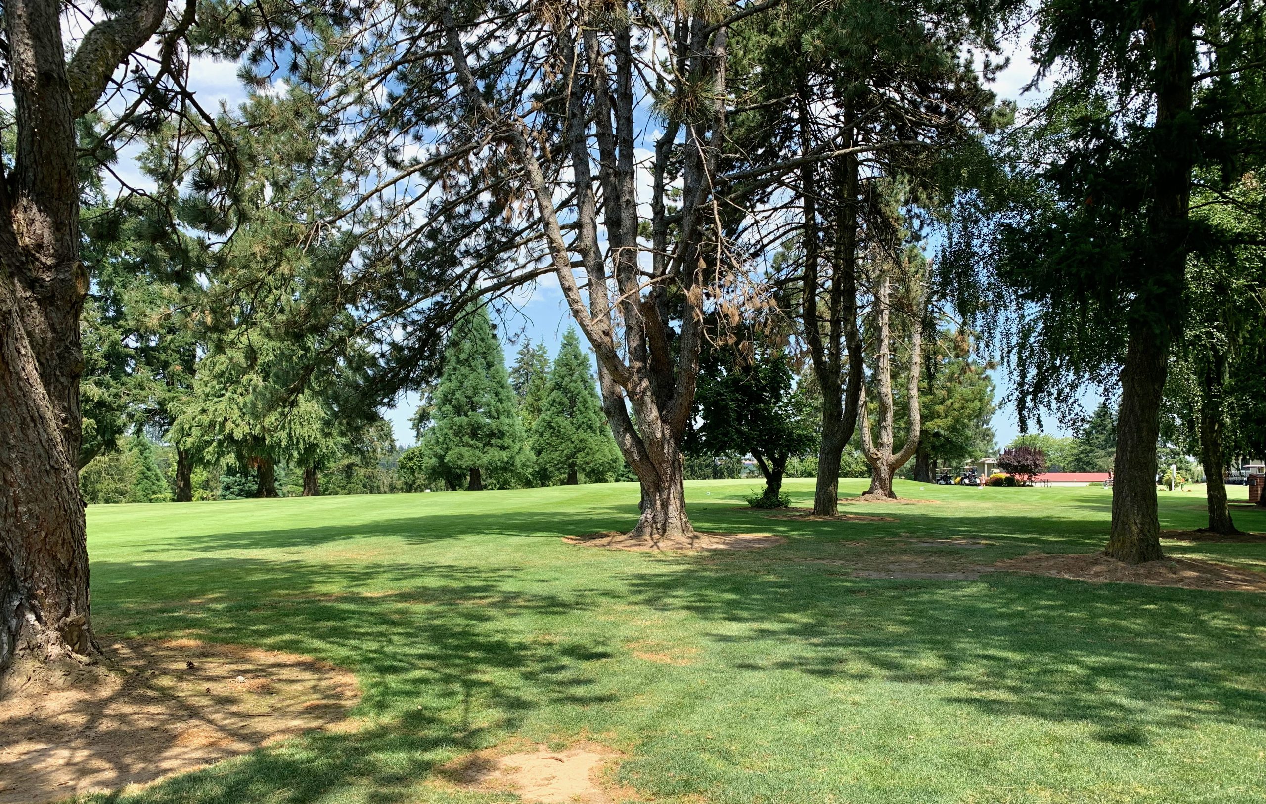 Evergreen Golf Course Mount Angel, OR Always Time for 9